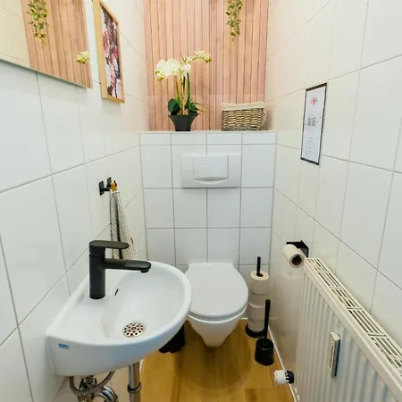 The Big Muenster Fuer Bis Zu 12, Whirlpool, Sauna, Zentral, Tischfussball, Balkon, Gasgrill Ulm Exterior foto